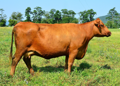 F383 - 018 - 2025 - Website