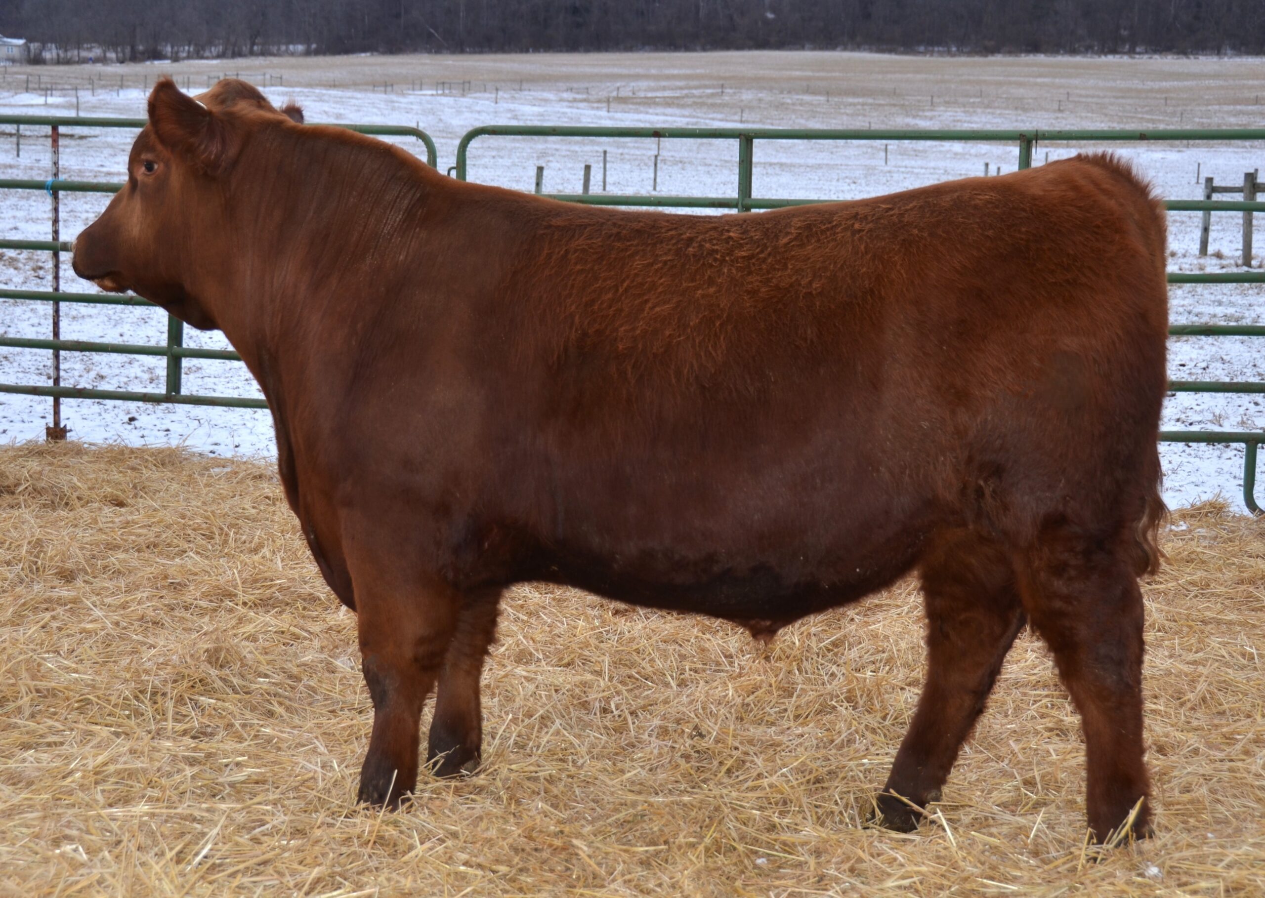 502 - 004 - 2026 - Lot 11