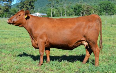 G392 - 04 - 2022 - Website